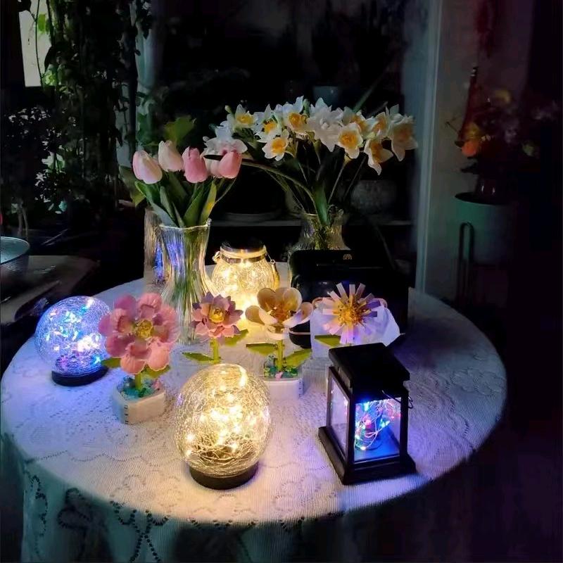 牛奶味的小团子