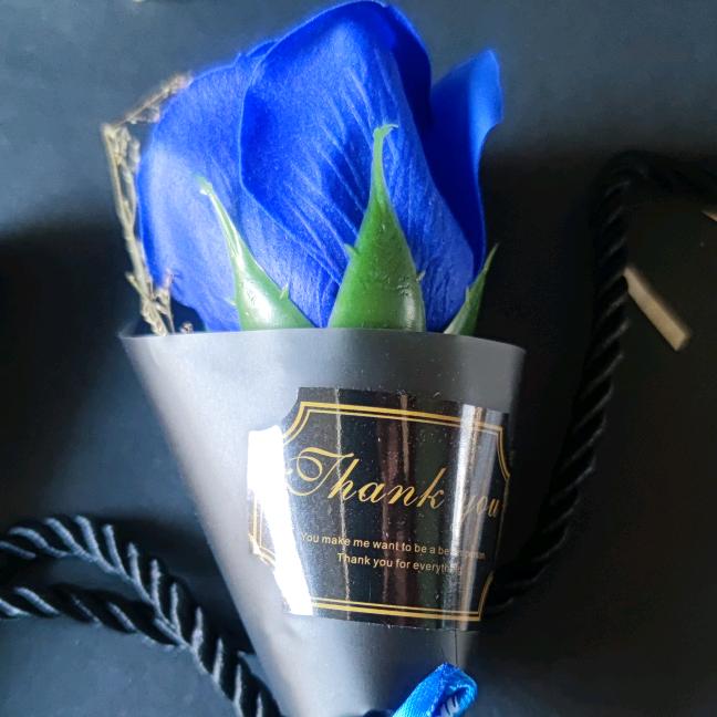 💘李飞飞💘✨