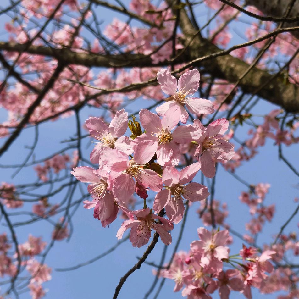 涅槃、