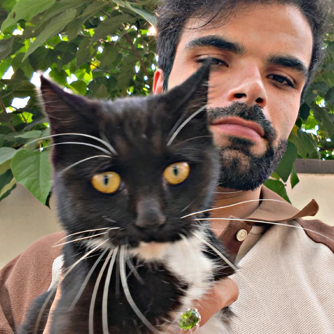 Daud