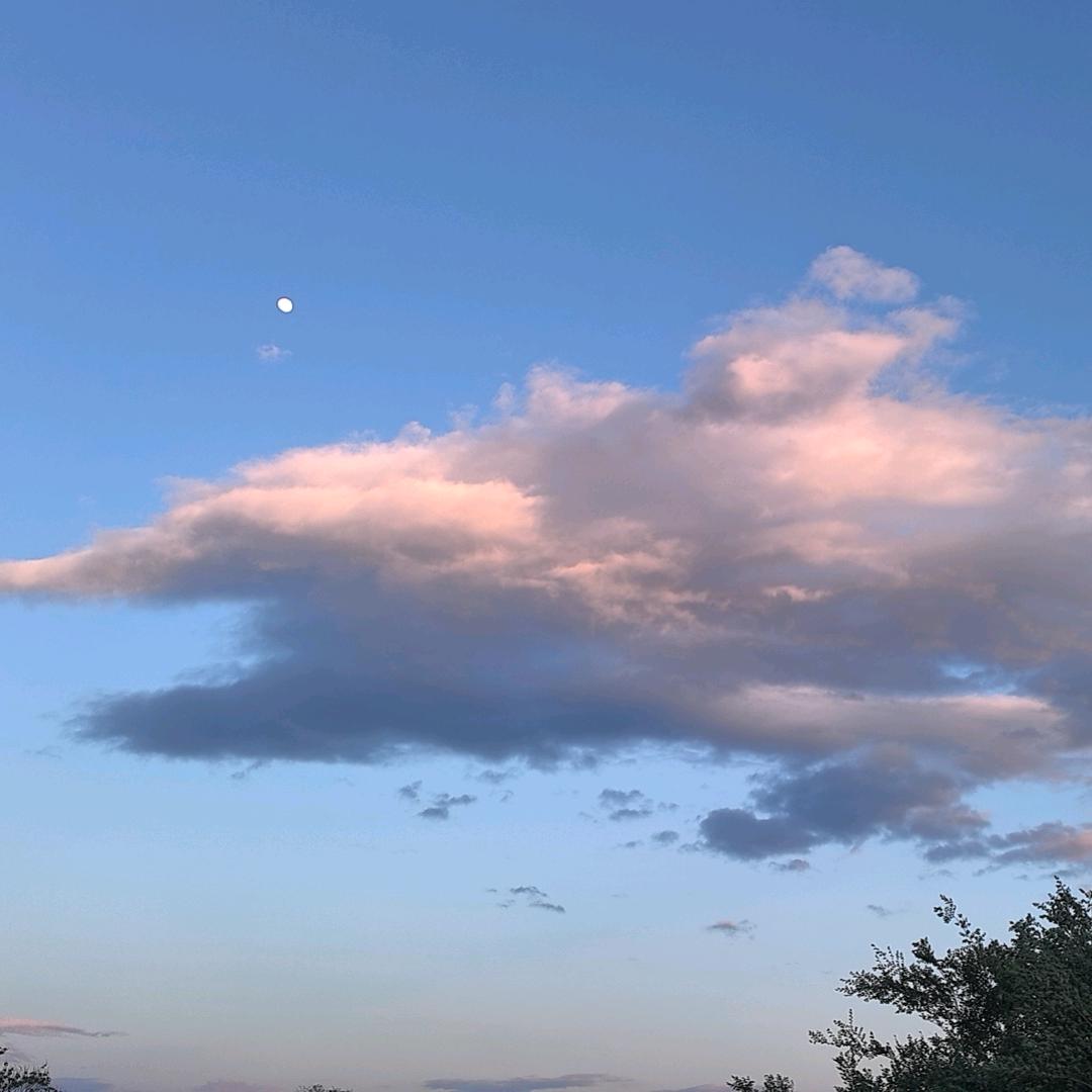 袖口藏着阳光☀️