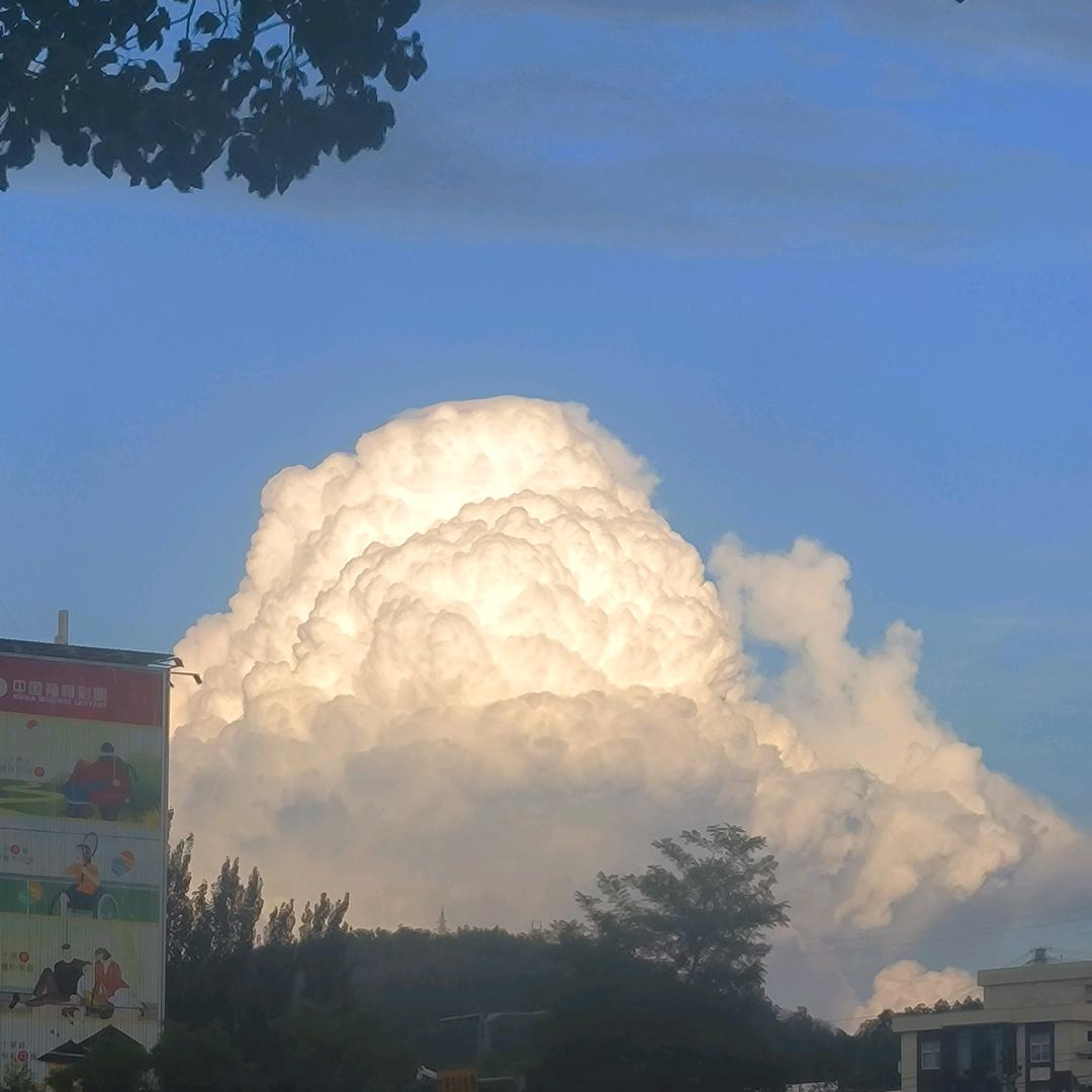 王强吉根四