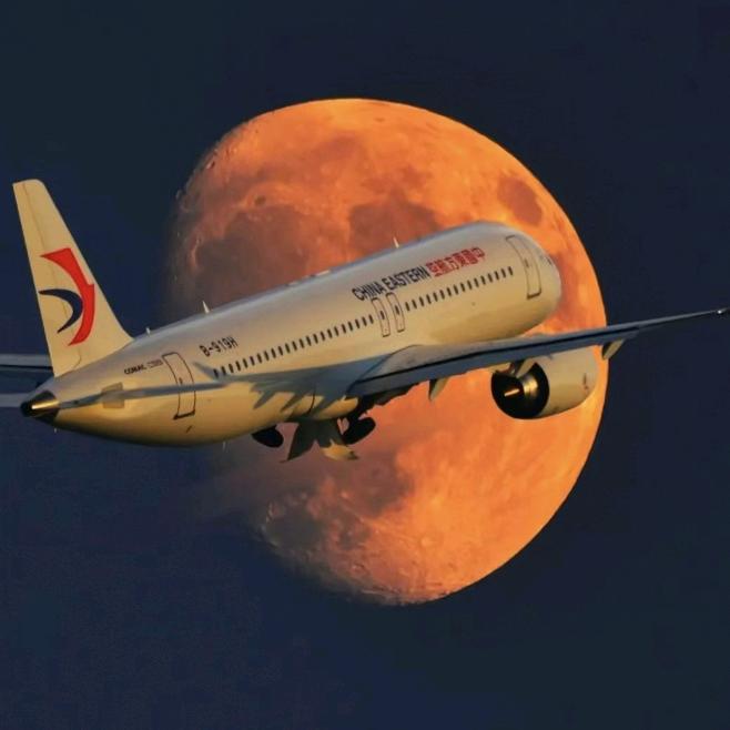 英雄夲色