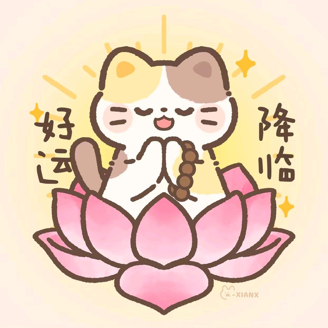 💰招米喵儿🐱