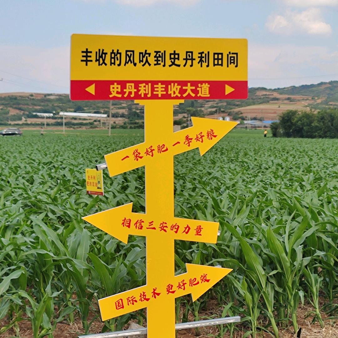 洪哥