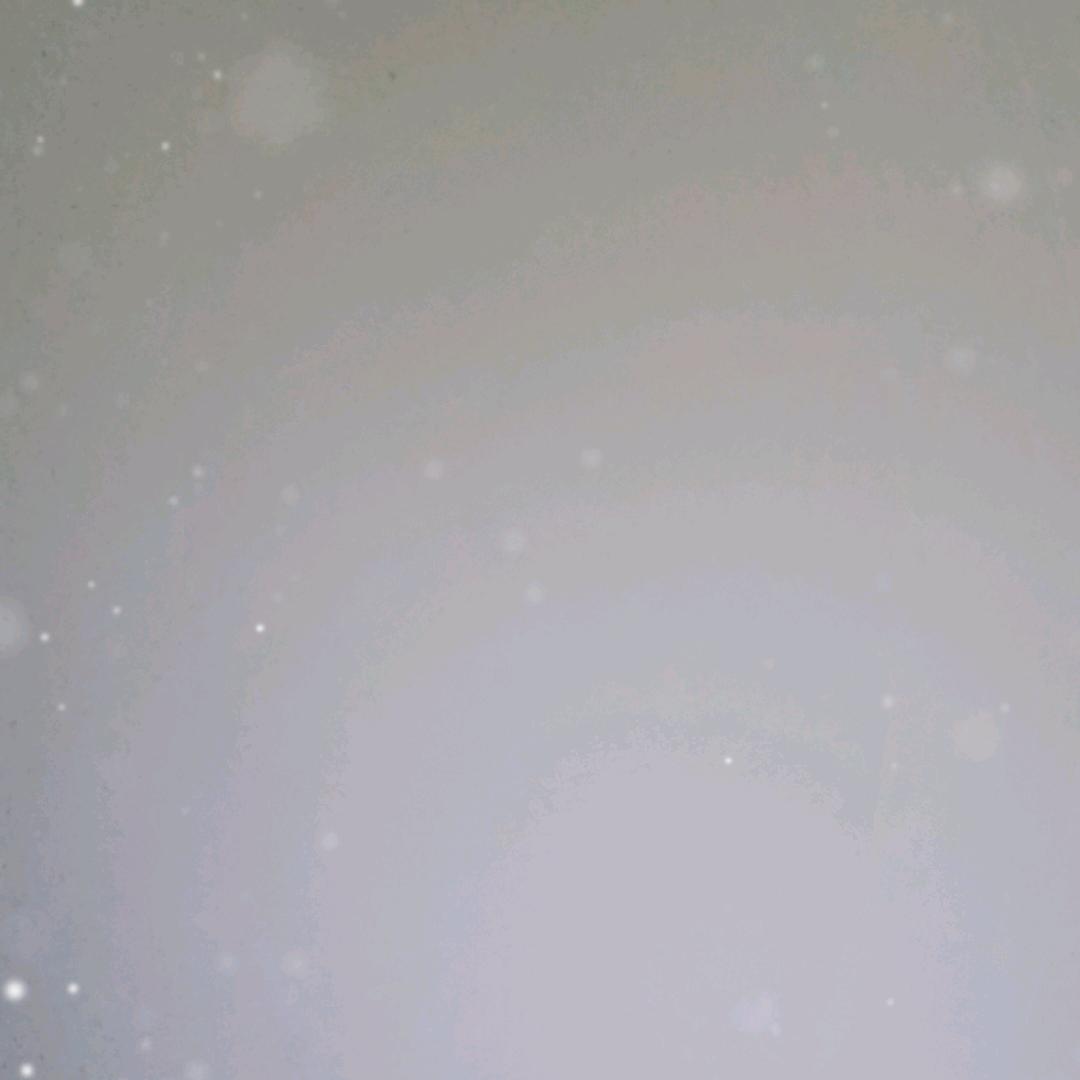 金珍归根