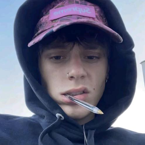 就是玩🕊️🇵🇸