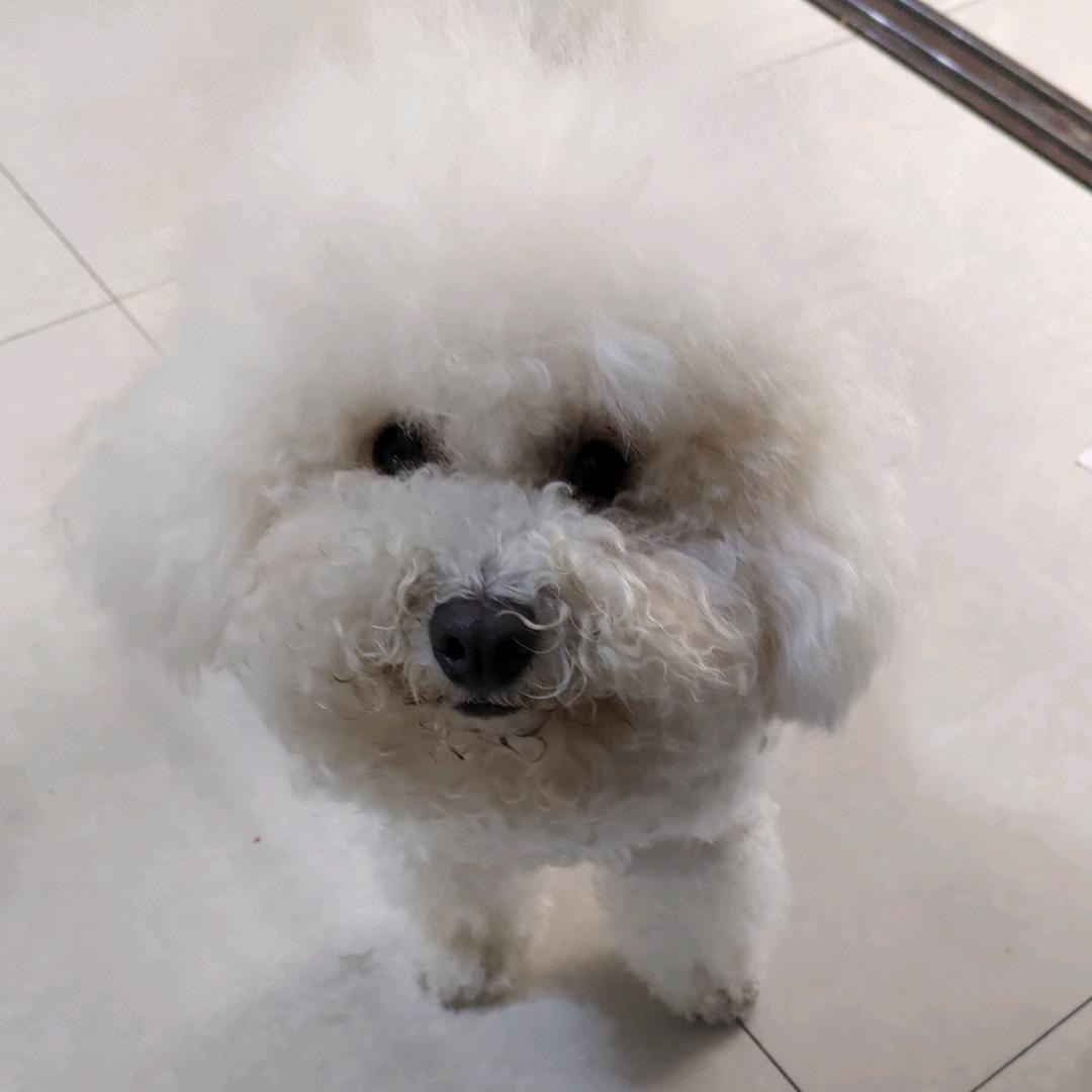 luxuxu