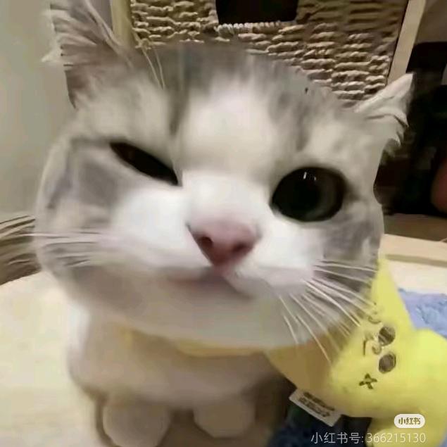 零距离