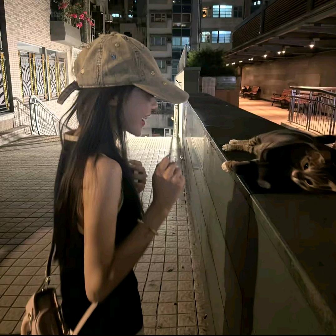 冰悸头像