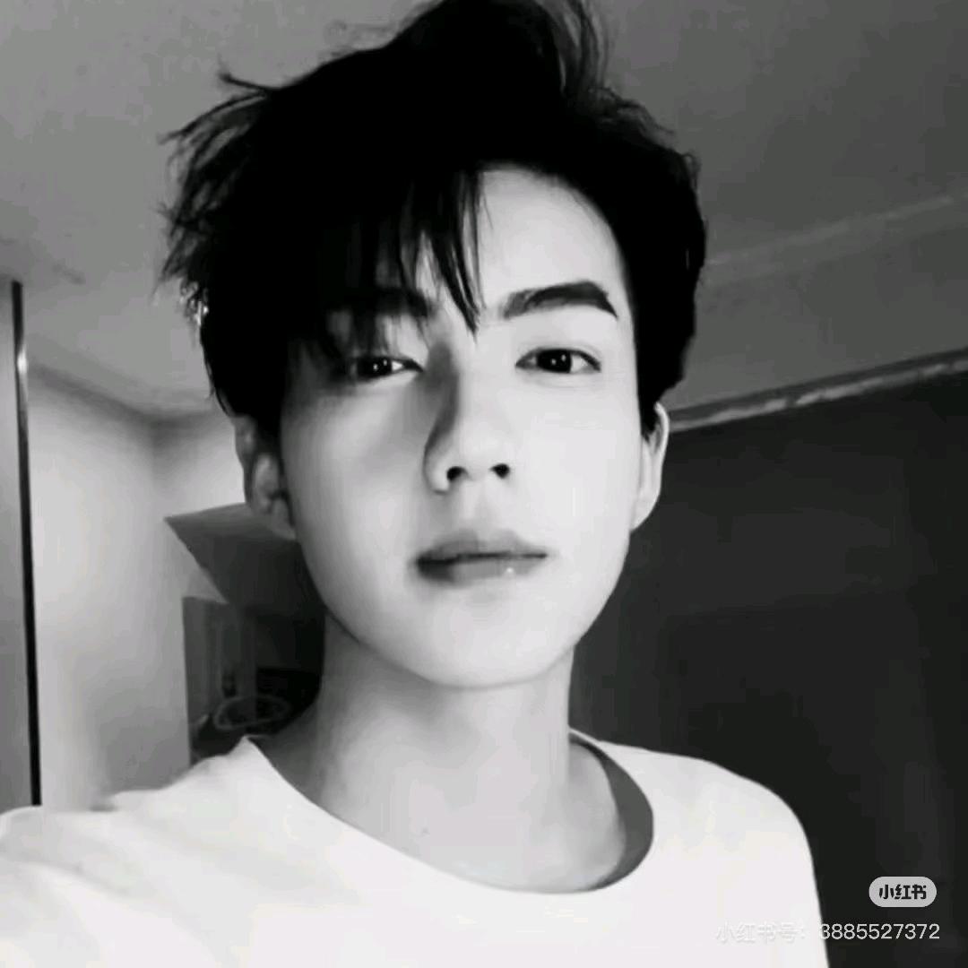 洛依白☪