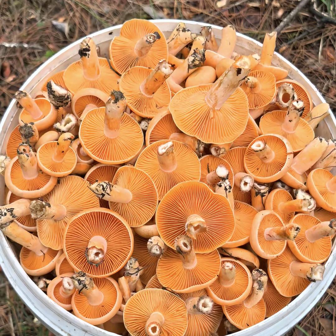 有时间