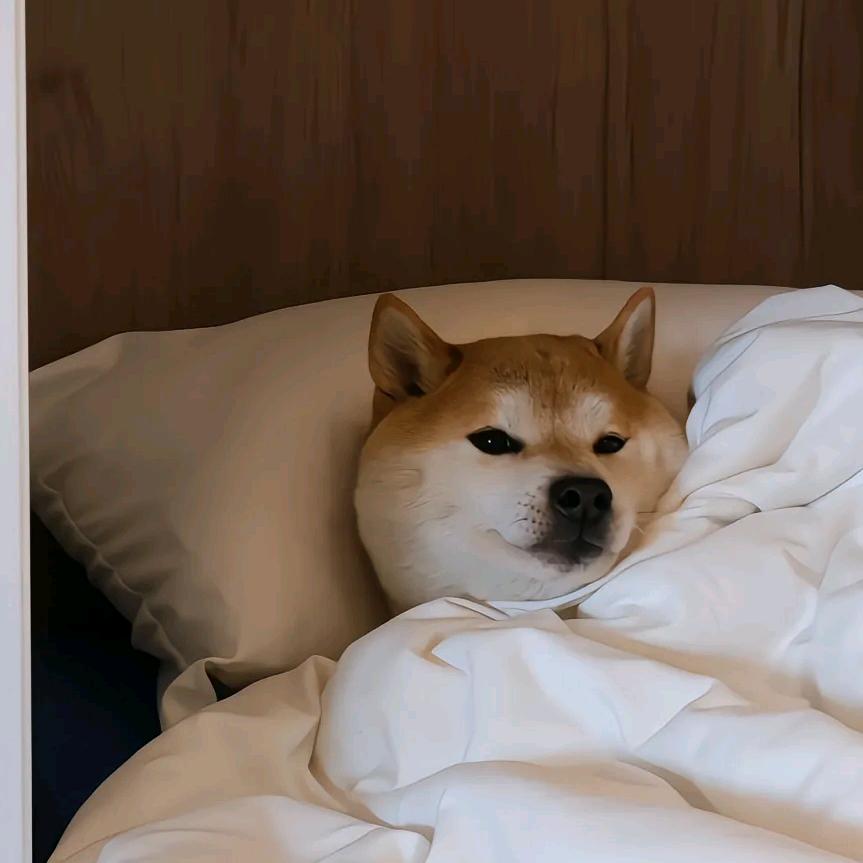崇拜
