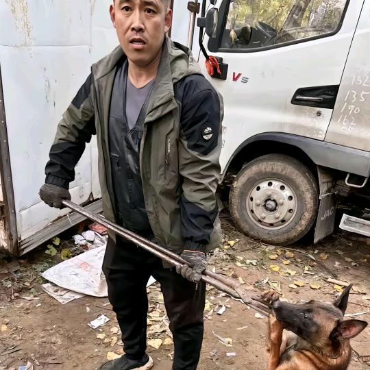 AAA专业套狗