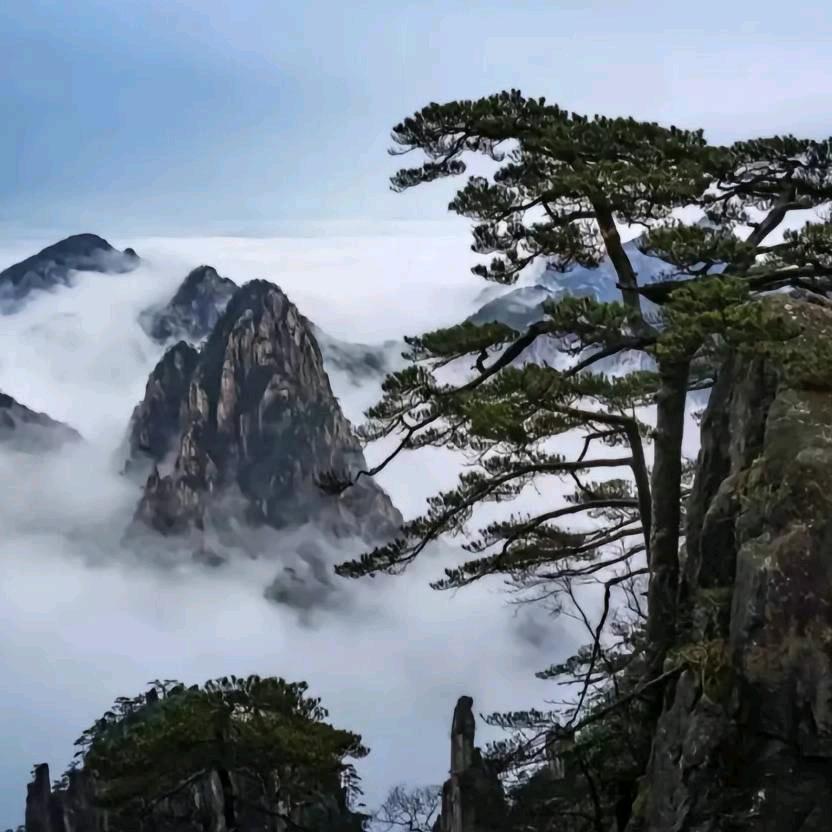 早起的鸟儿有虫吃