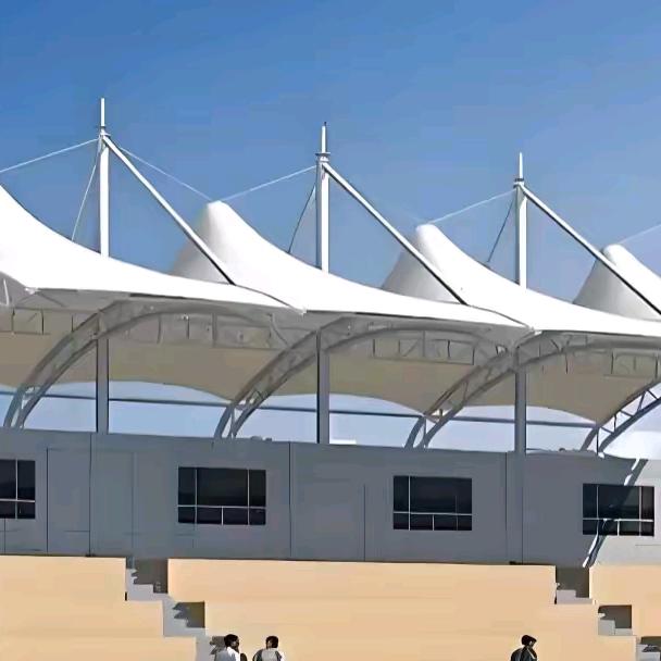 奔跑的大马虾🦐