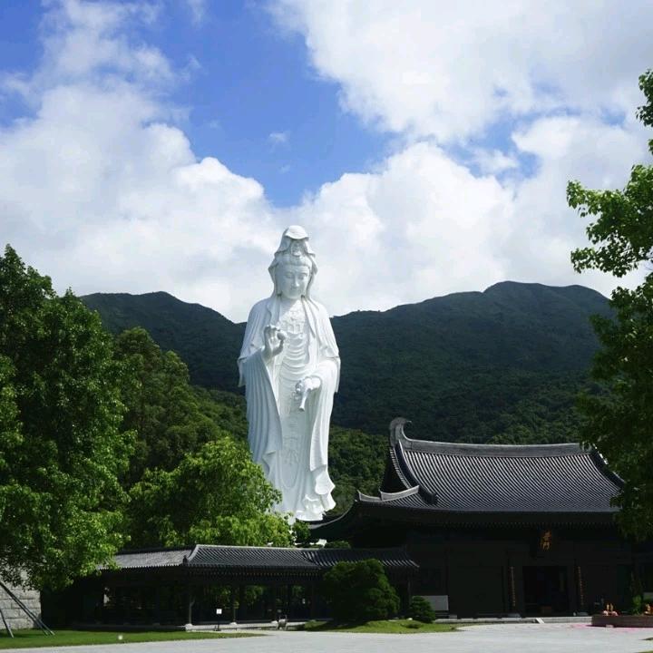 释真悟