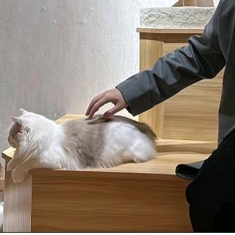 我家有几个逆子