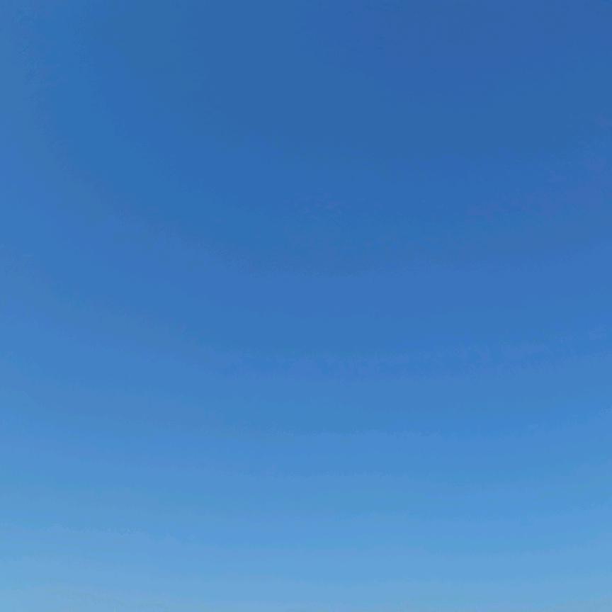 逆流的鱼