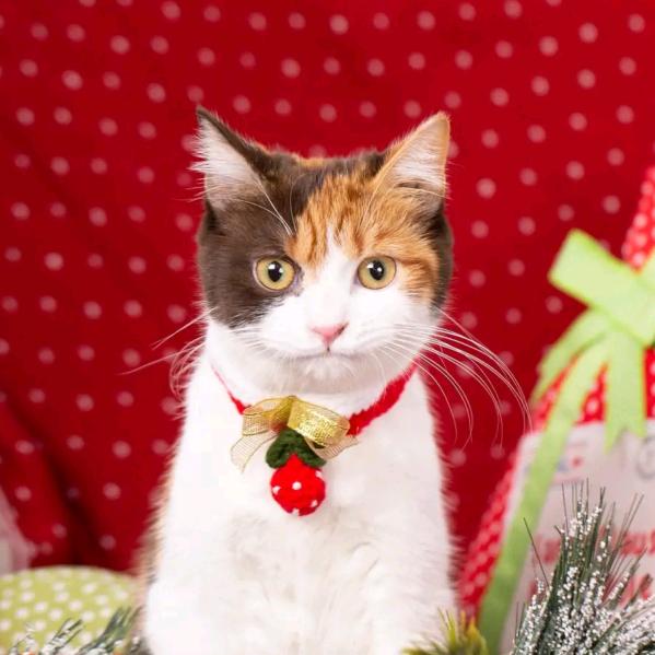 🍂往事👄清零💞