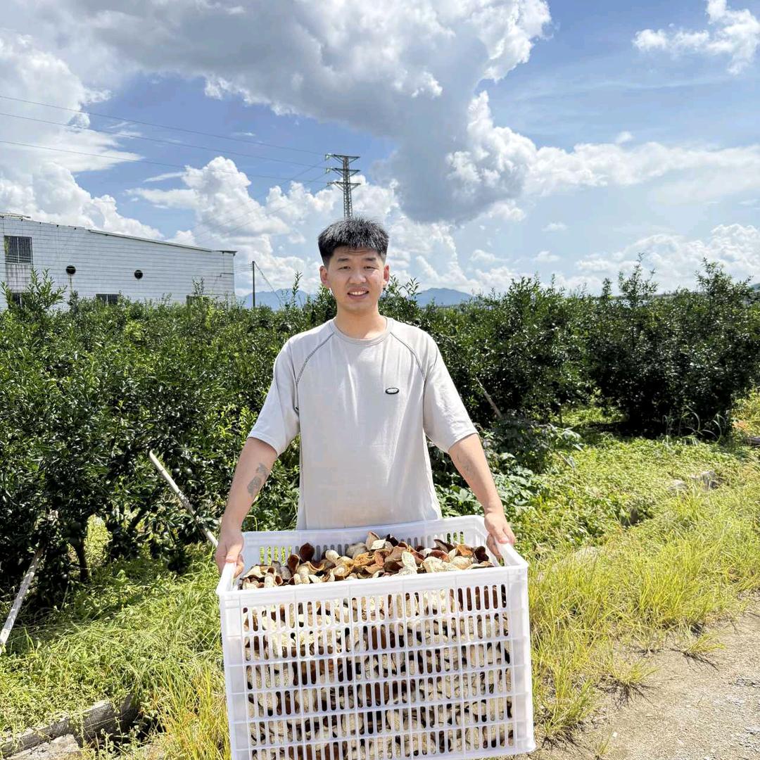 云鹏记