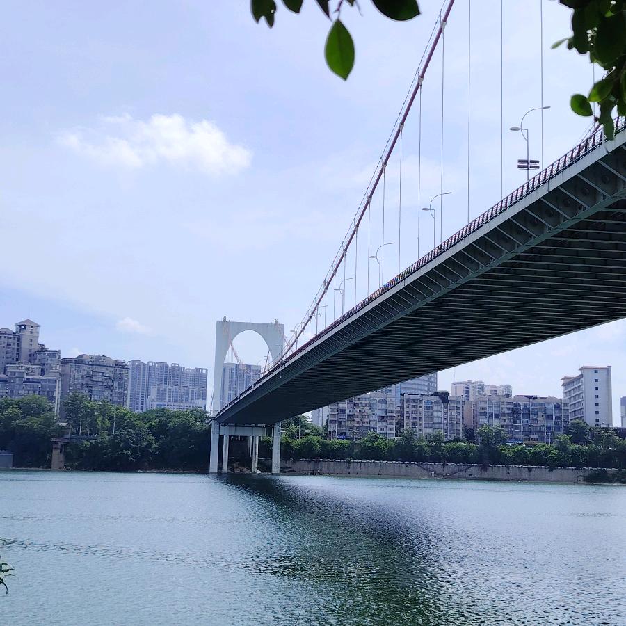 月亮代表谁的心