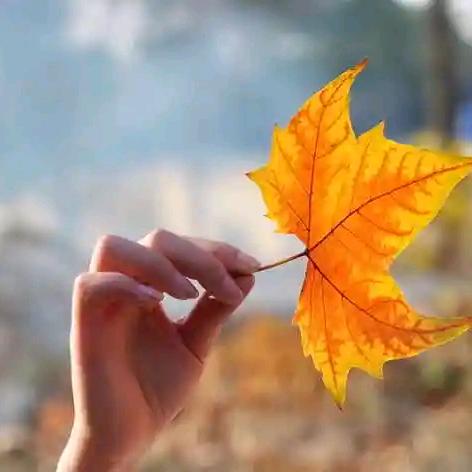 ꦿ໊信念᭄🕊᭄