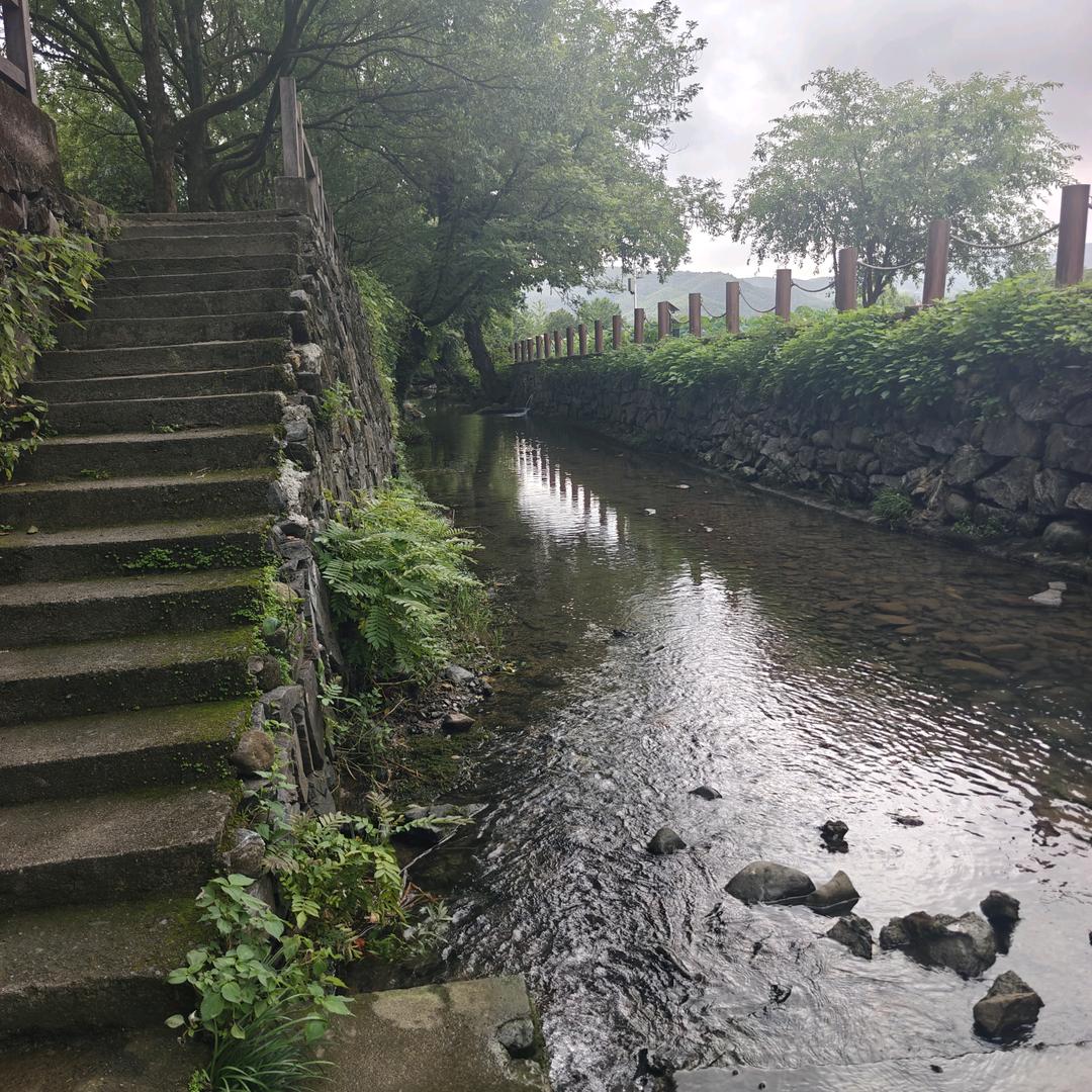 去隔壁老王家喝白开水哟