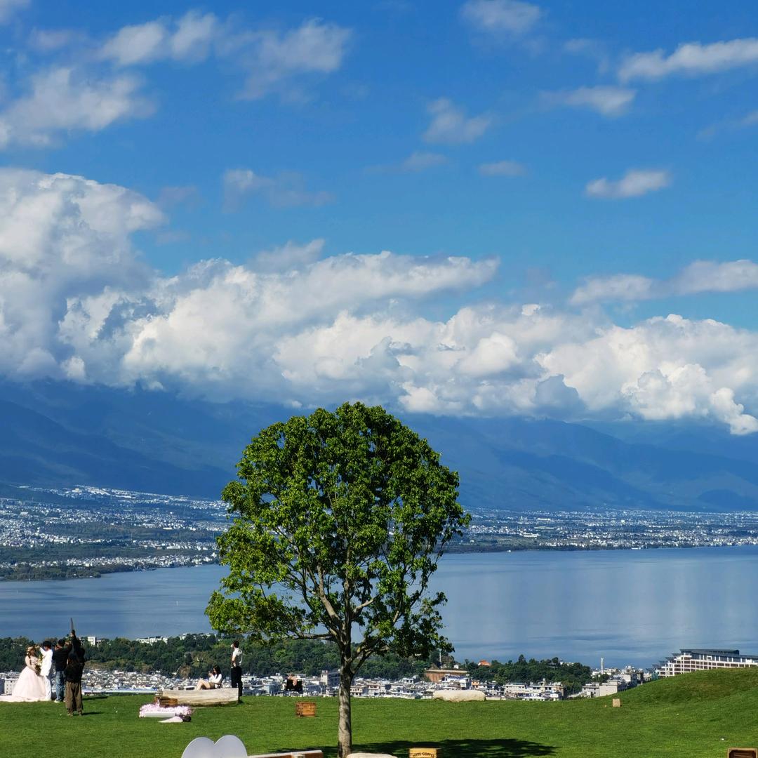 逃跑计划不逃跑