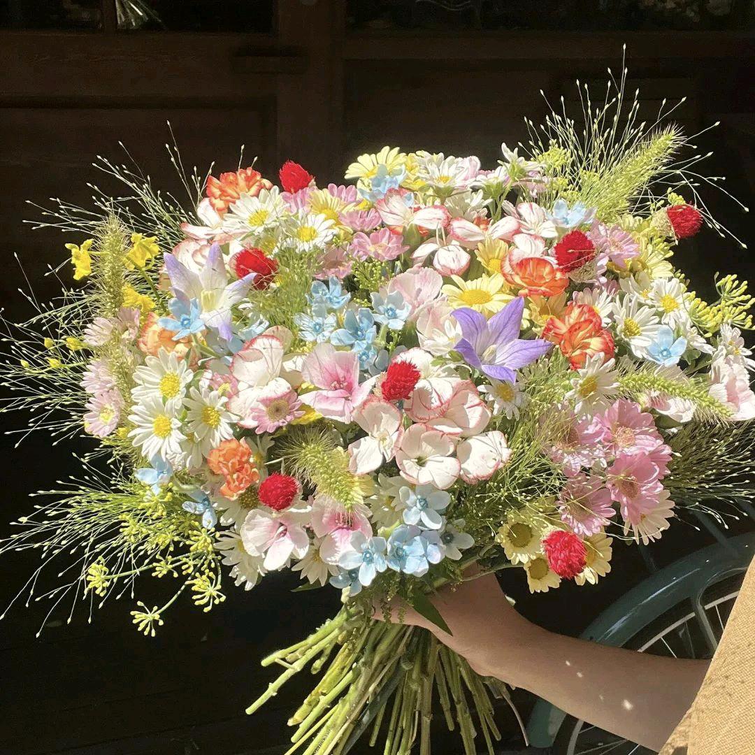 记得手捧鲜花来见我