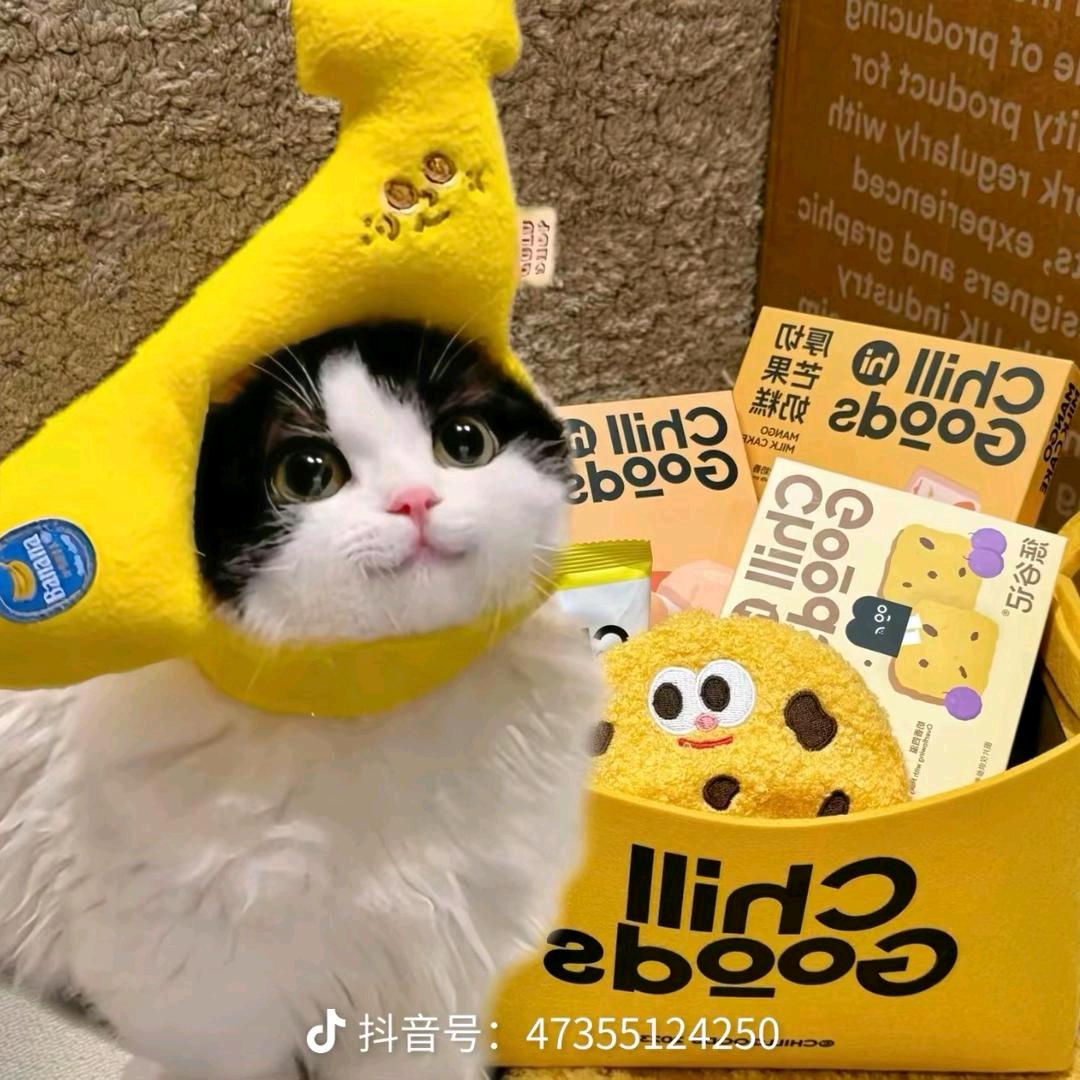 长三角发际线男孩👦🏻