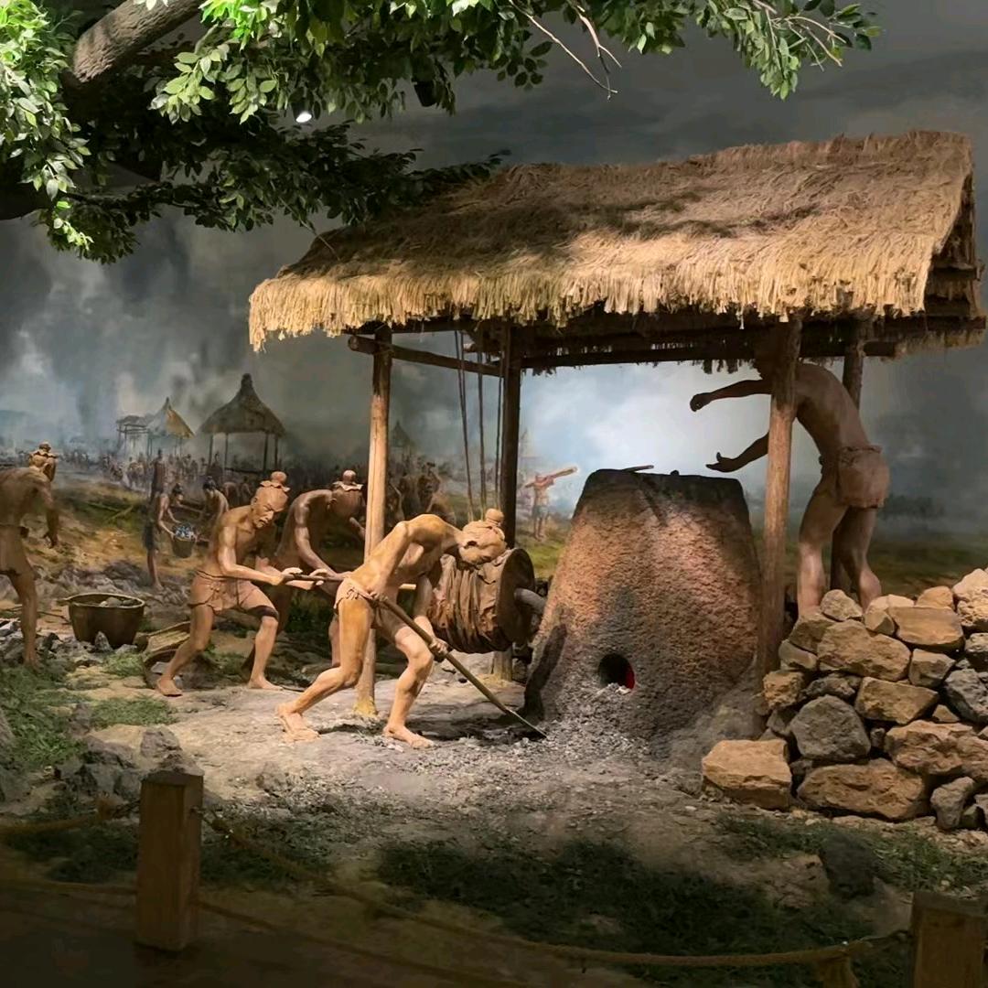 为梦想奋斗的王