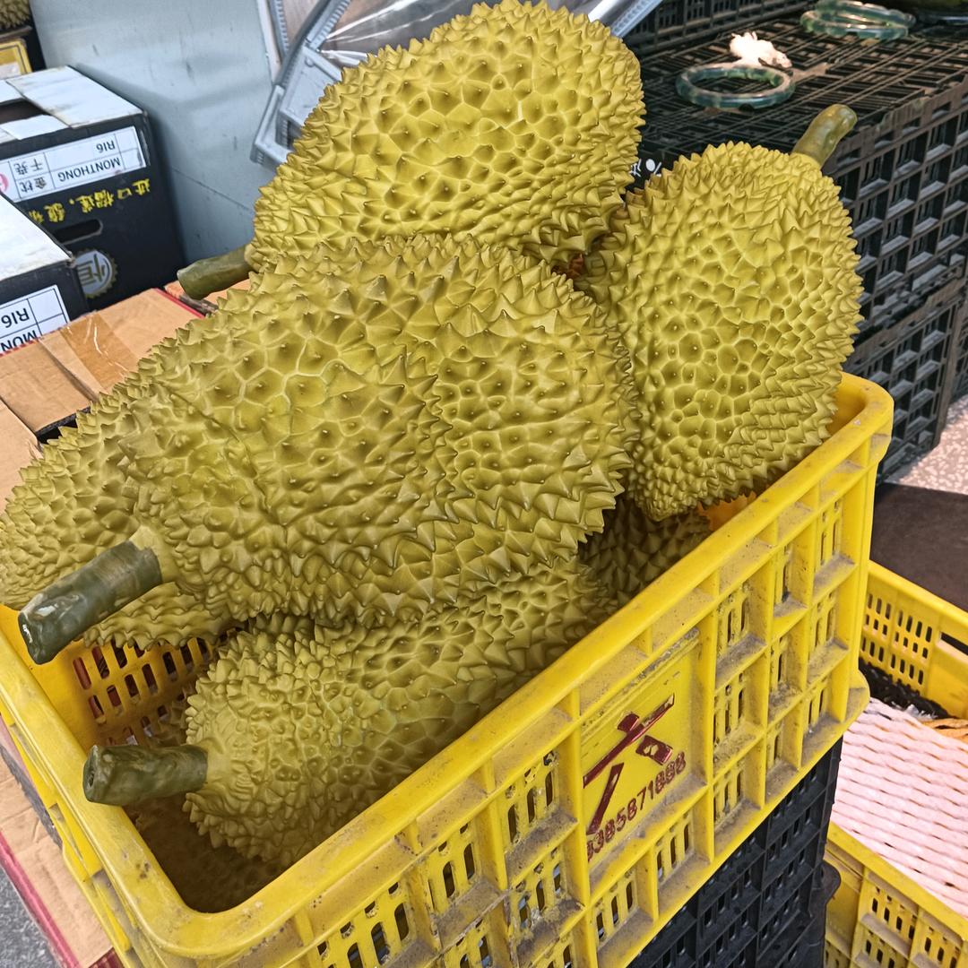 不蒋道理