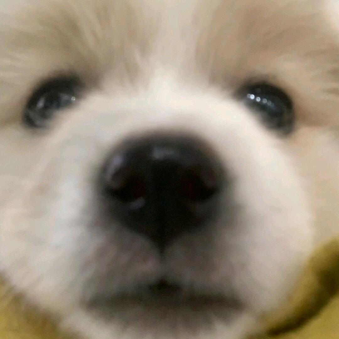 沃次you内慕