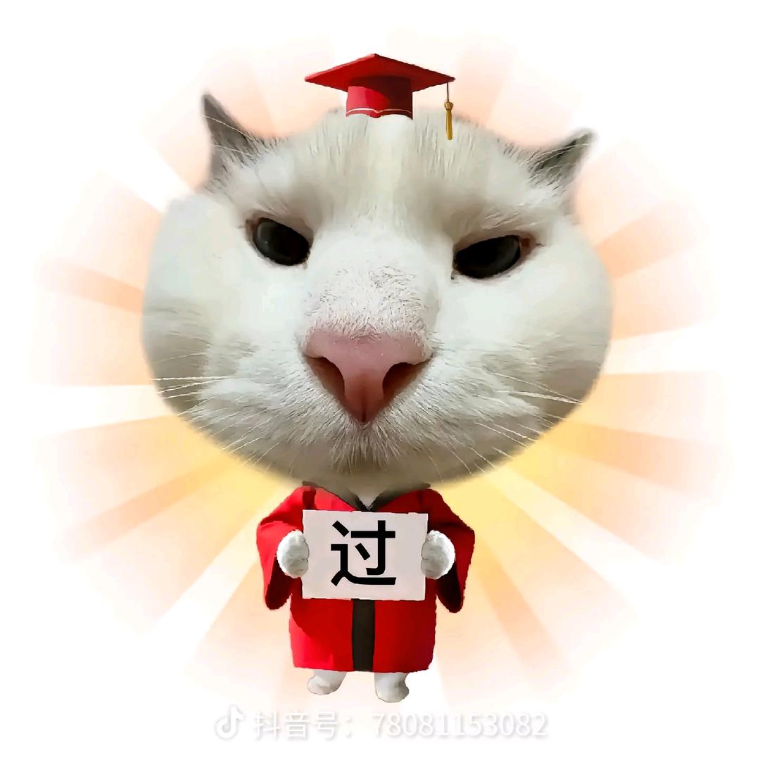 小卓猫