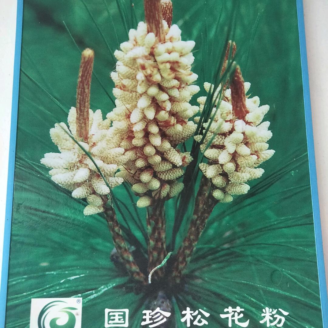 用户许自强