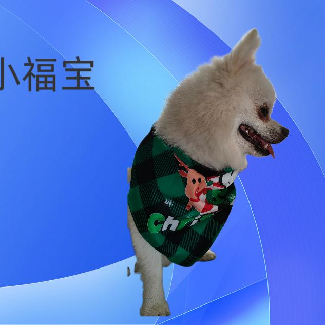 小金牙2