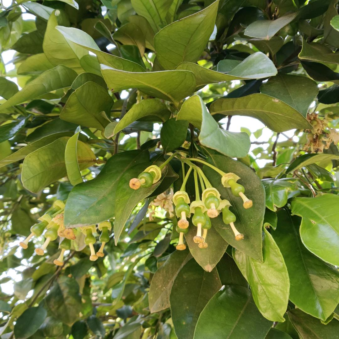 🌈不走平台会被骗子骗钱！！