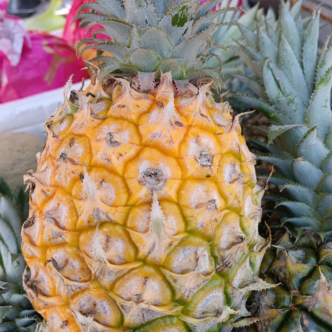 永不变心