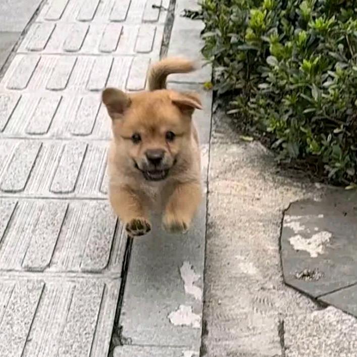 美小丽课代表