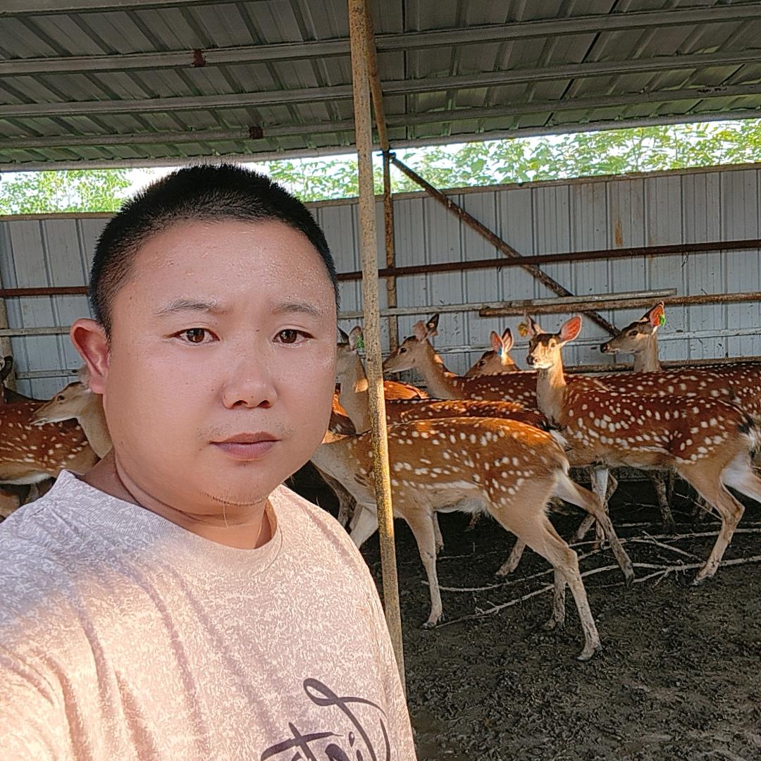 双峰鹿总🦌🦌🦌