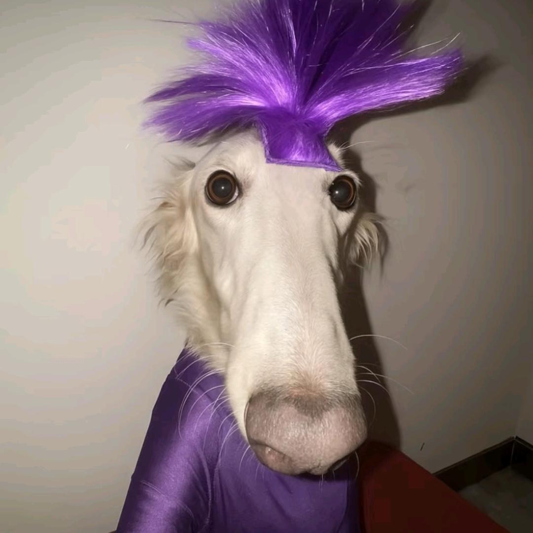 重生之我要成为单片机糕手