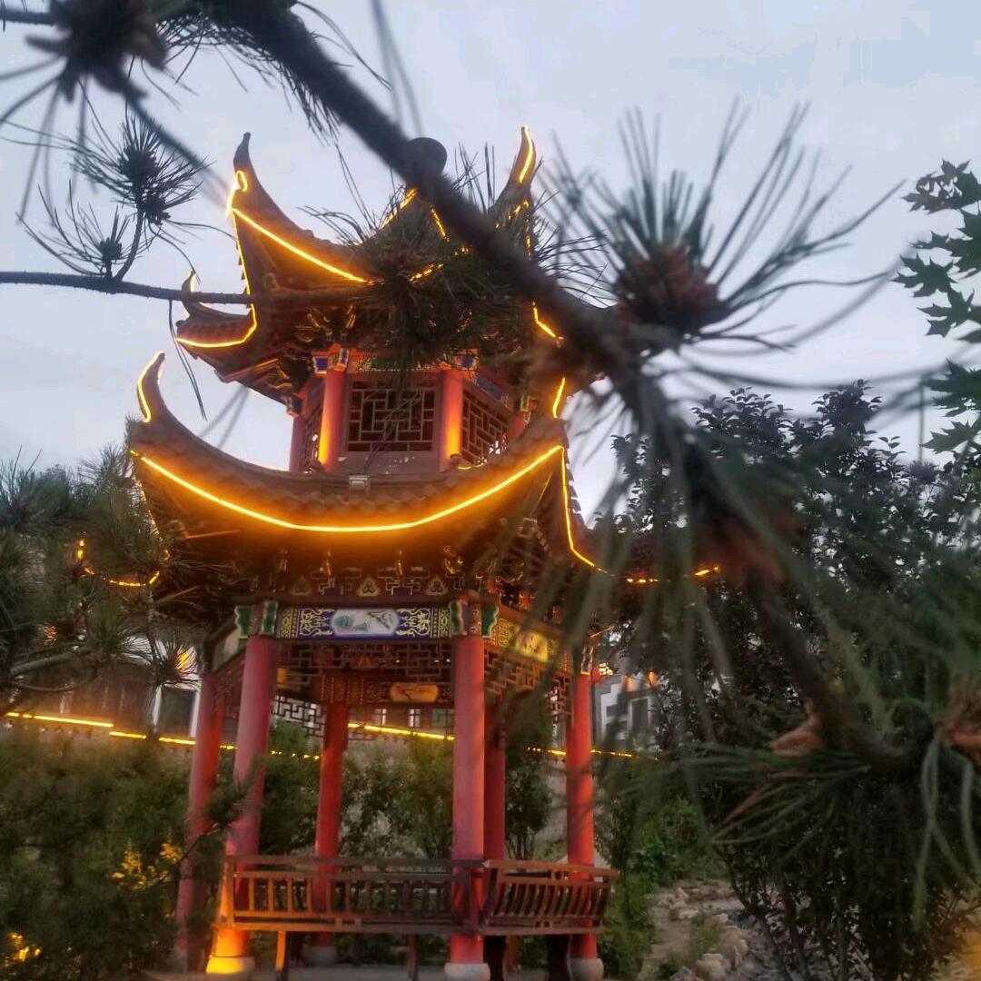 随缘6678