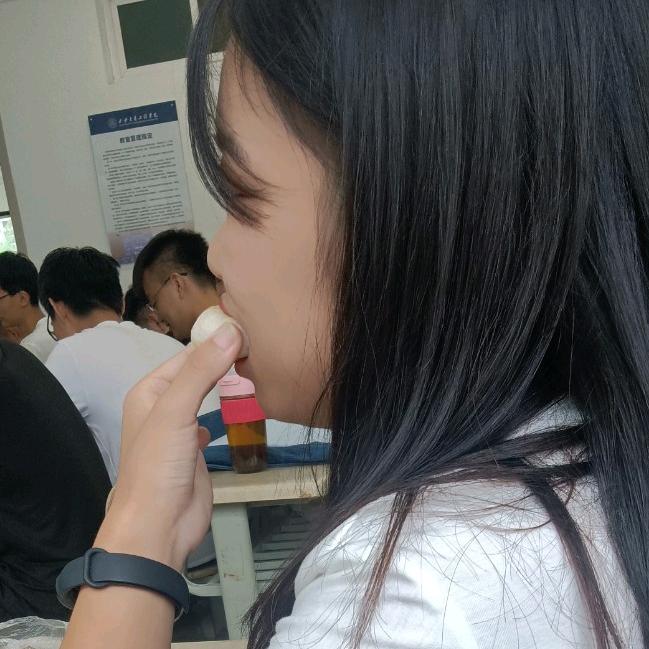 🌈什么也学不会