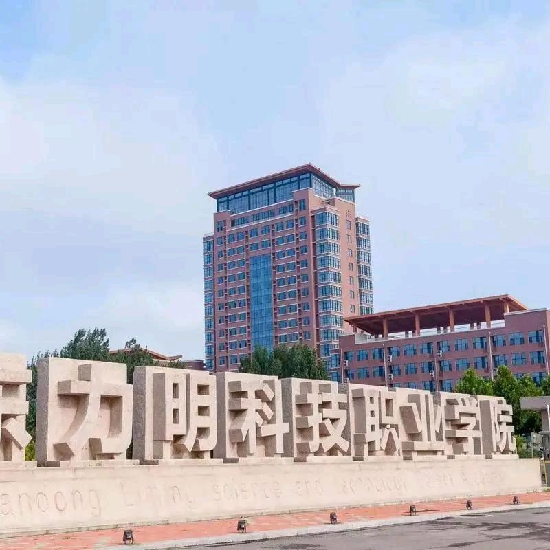 山东力明医学