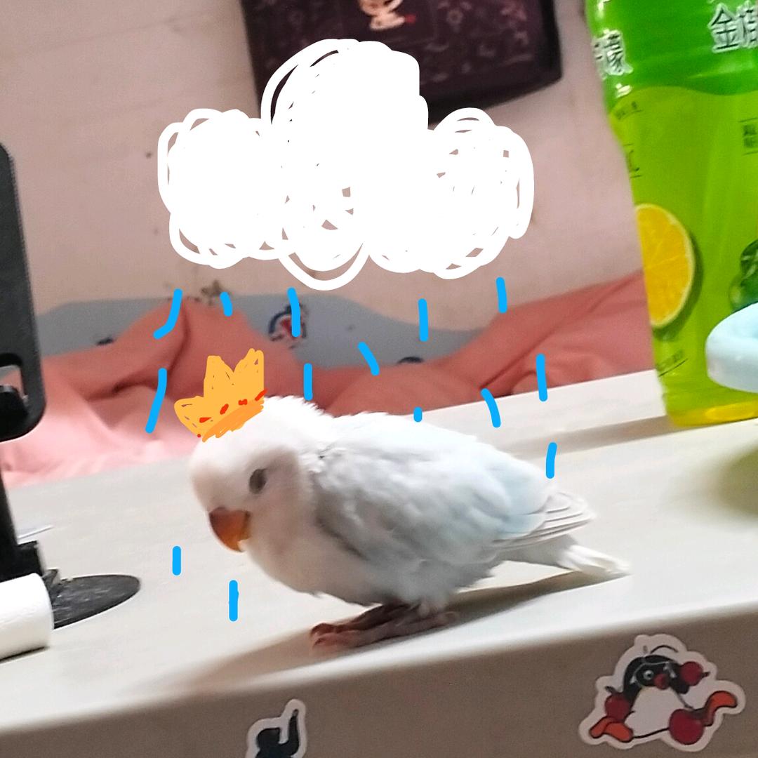 磷酸盐