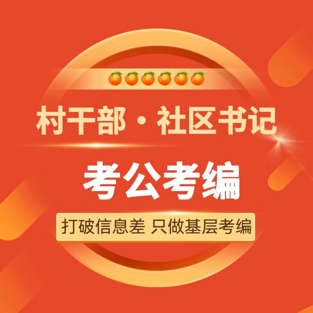 村干部社区书记考公考编