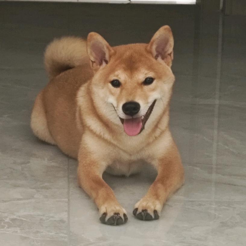 今天依旧福小满