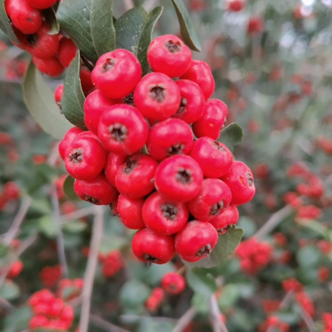 若汐奶奶，，汤