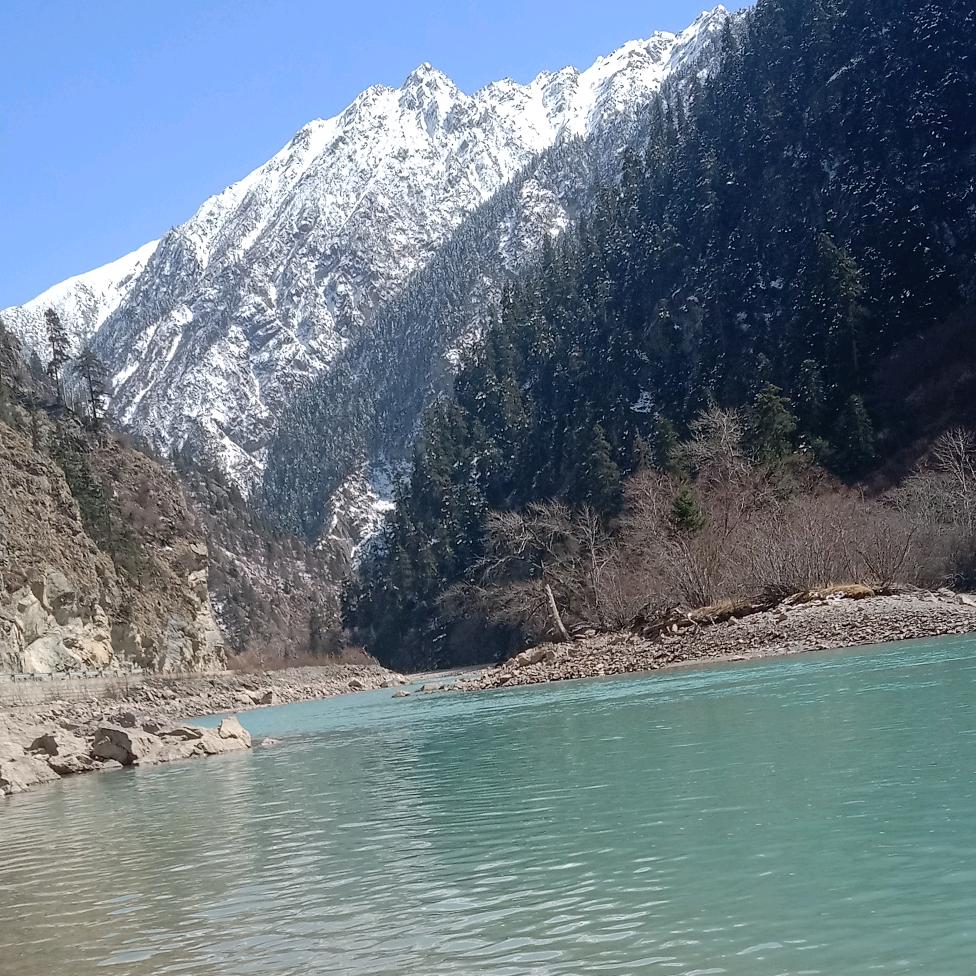 陈风破浪